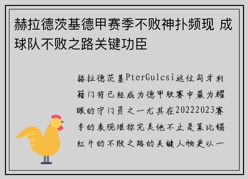 赫拉德茨基德甲赛季不败神扑频现 成球队不败之路关键功臣